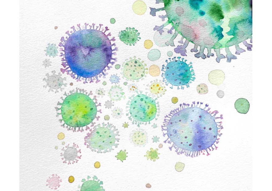 Tout savoir sur le microbiome