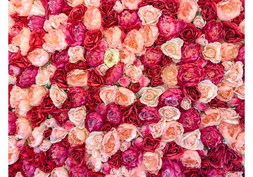 Les bienfaits de l'eau de rose