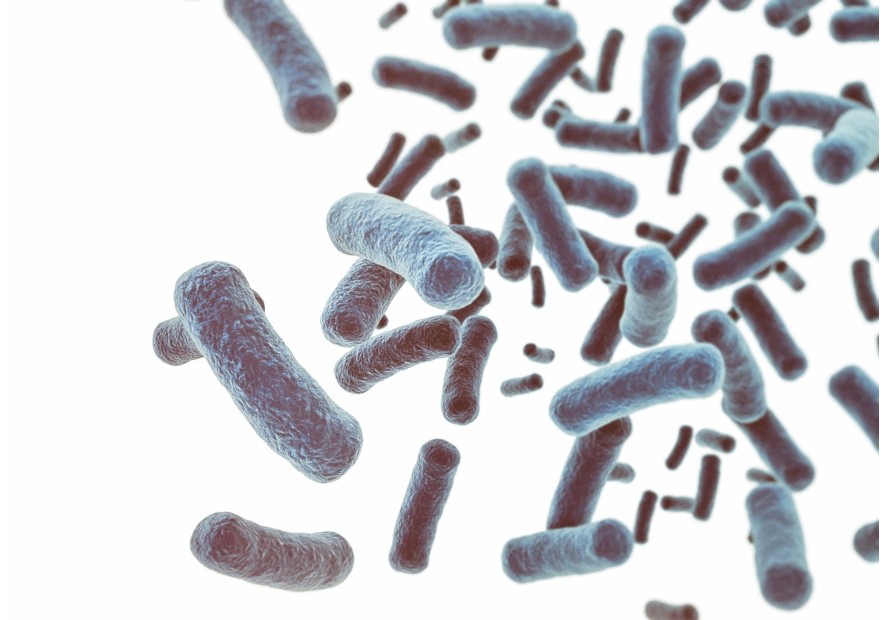 Microbiote cutané : rôle, équilibre et impact sur la peau